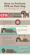 Image result for First Aid CPR Class