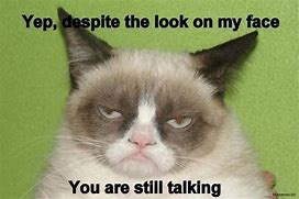 Image result for Funny Annoyed Face Meme
