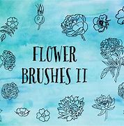 Image result for Free Photoshop Floral Brush