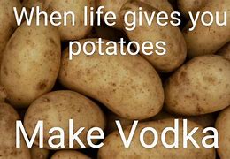 Image result for Vodka Memes Funny