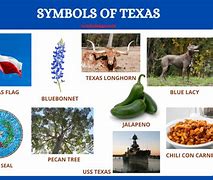 Image result for Texas Symbols