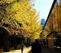 Image result for Tokyo University Autumn