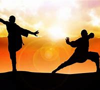 Image result for American Style Kung Fu