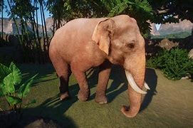 Image result for Planet Zoo Albino African Elephant