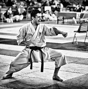 Image result for Types of Karate Styles