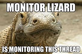 Image result for Monitor Lizard Meme