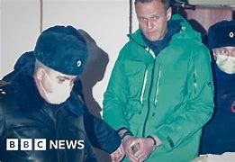 Image result for Navalny brother wanted
