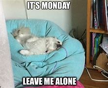 Image result for Monday Left Me Broken Dog Meme