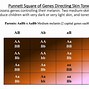 Image result for Punnett Square Eye Color Chart