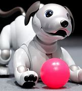 Image result for Best Robot Dog