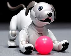 Image result for New Toy Robots