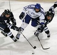 Image result for Ice Hockey Wall Murals