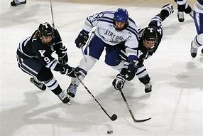 Image result for Ice Hockey Goal