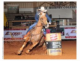 Image result for Palomino Horse Barrel Racing