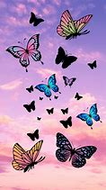 Image result for Cute Colorful Butterfly Wallpapers