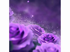 Image result for iPhone Purple Rose Wallpaper