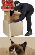 Image result for Funny Cat Burglar