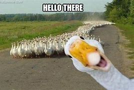 Image result for Silly Funny Hello