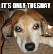 Image result for Only Tuesday Meme