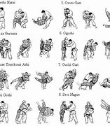 Image result for Judo Martial Arts