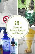 Image result for Organic Bug Spray