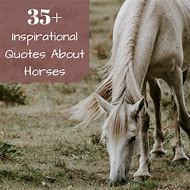 Image result for Horses Galloping Quotes