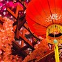 Image result for Lantern for Chinese New Year