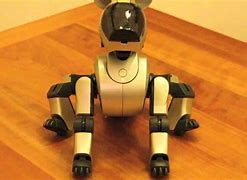 Image result for Aibo 65W