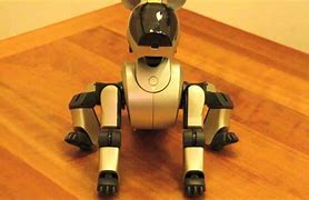 Image result for Aibo Jump