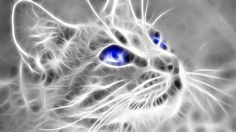 Image result for Cat 3D HD Wallpapers