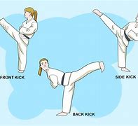 Image result for Basic Karate Stances