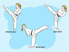 Image result for Okinawan Karate Styles