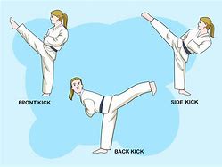 Image result for Types of Karate Kicks