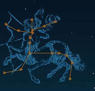 Image result for Mythical Creatures Constellations