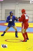 Image result for Sambo Fighting Style