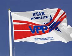 Image result for Vintage VPP Flag