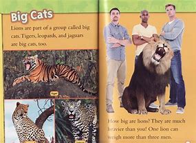 Image result for National Geographic Kids Lions