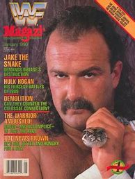 Image result for WWF Wrestling Magazines