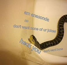 Image result for Snake Heck Meme