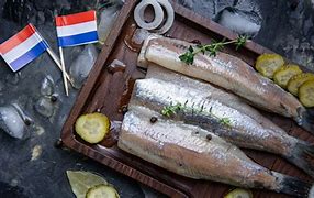 Image result for Holland Herring Fish