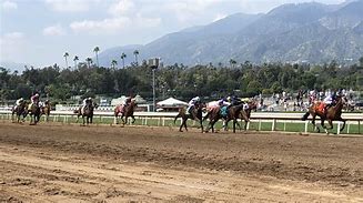 Image result for Horse Racing Santa Anita