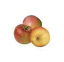 Image result for Apple Fruit Single