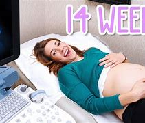 Image result for What Does Week 14 Looks Like