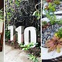 Image result for DIY Concrete Garden Projects