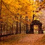 Image result for Autumn Leaves Background