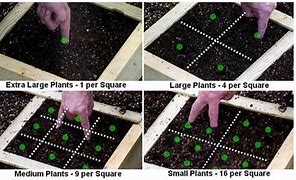 Image result for Square Foot Garden Planting Chart