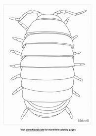 Image result for Rolly Polly Coloring Page