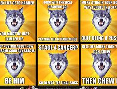 Image result for Wolf in the Arin Meme