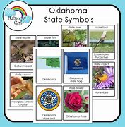 Image result for Oklahoma State Symbols for Kids