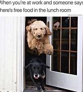 Image result for Memes About Free Food